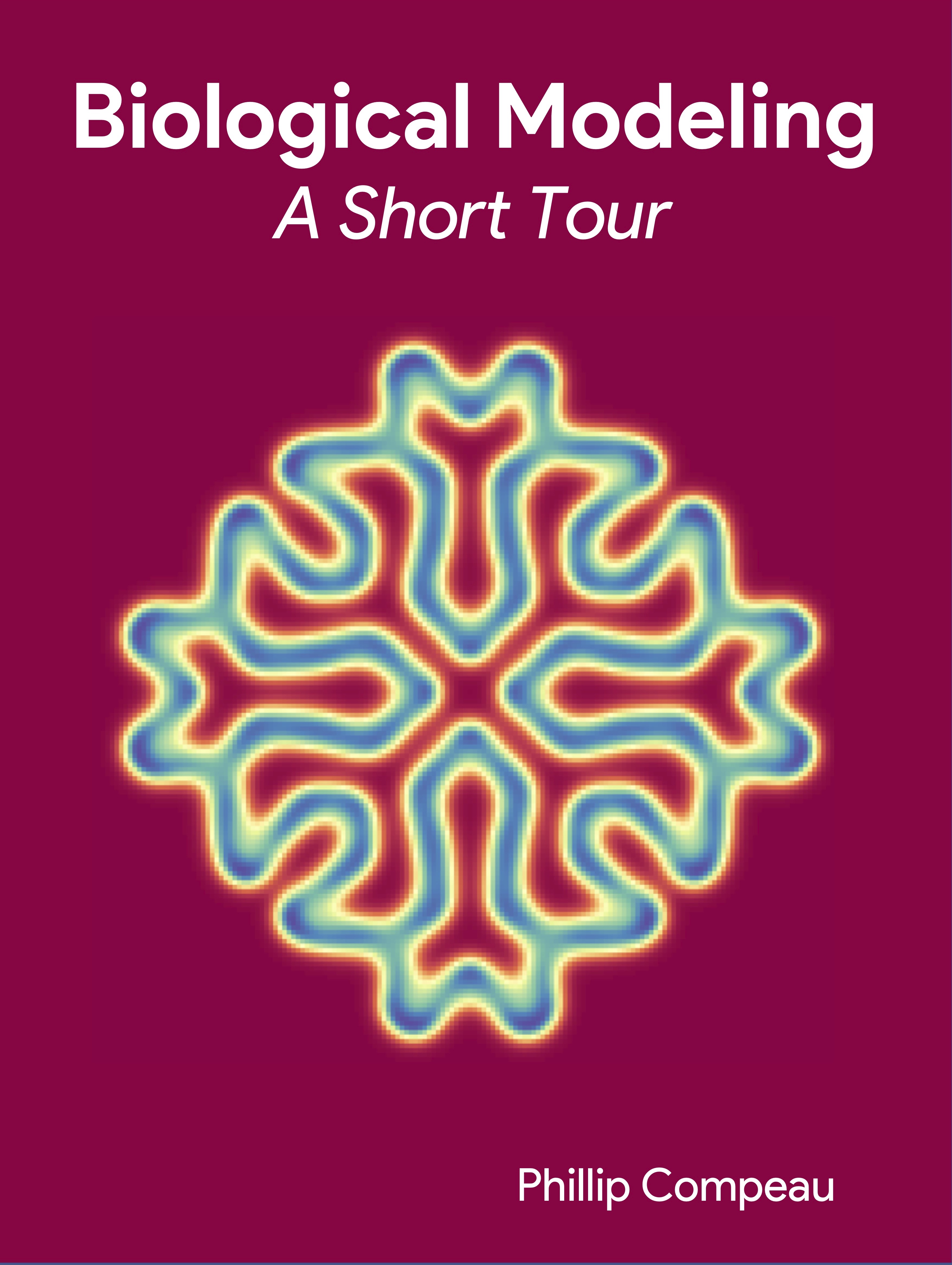 Biological Modeling: A Short Tour
