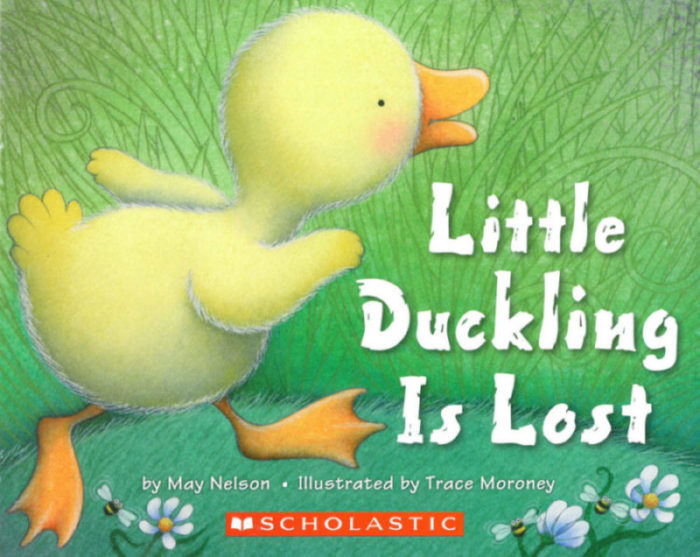Little Duckling is Lost