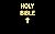 Holy Bible, New American St...