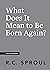 What Does It Mean to Be Born Again? (Crucial Questions)