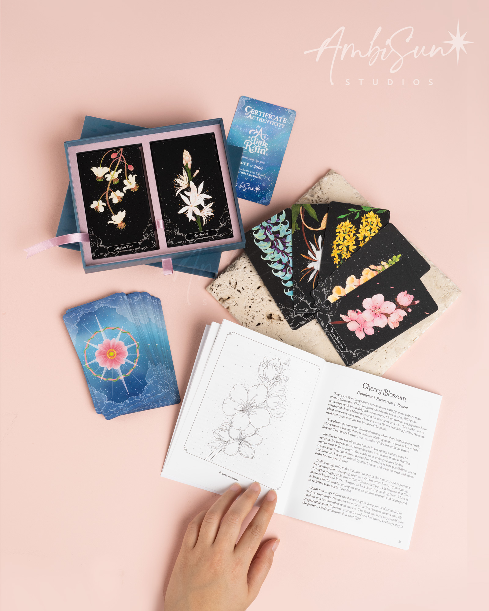 A Little Rain Oracle