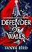 Defender of Walls (Kingdom ...