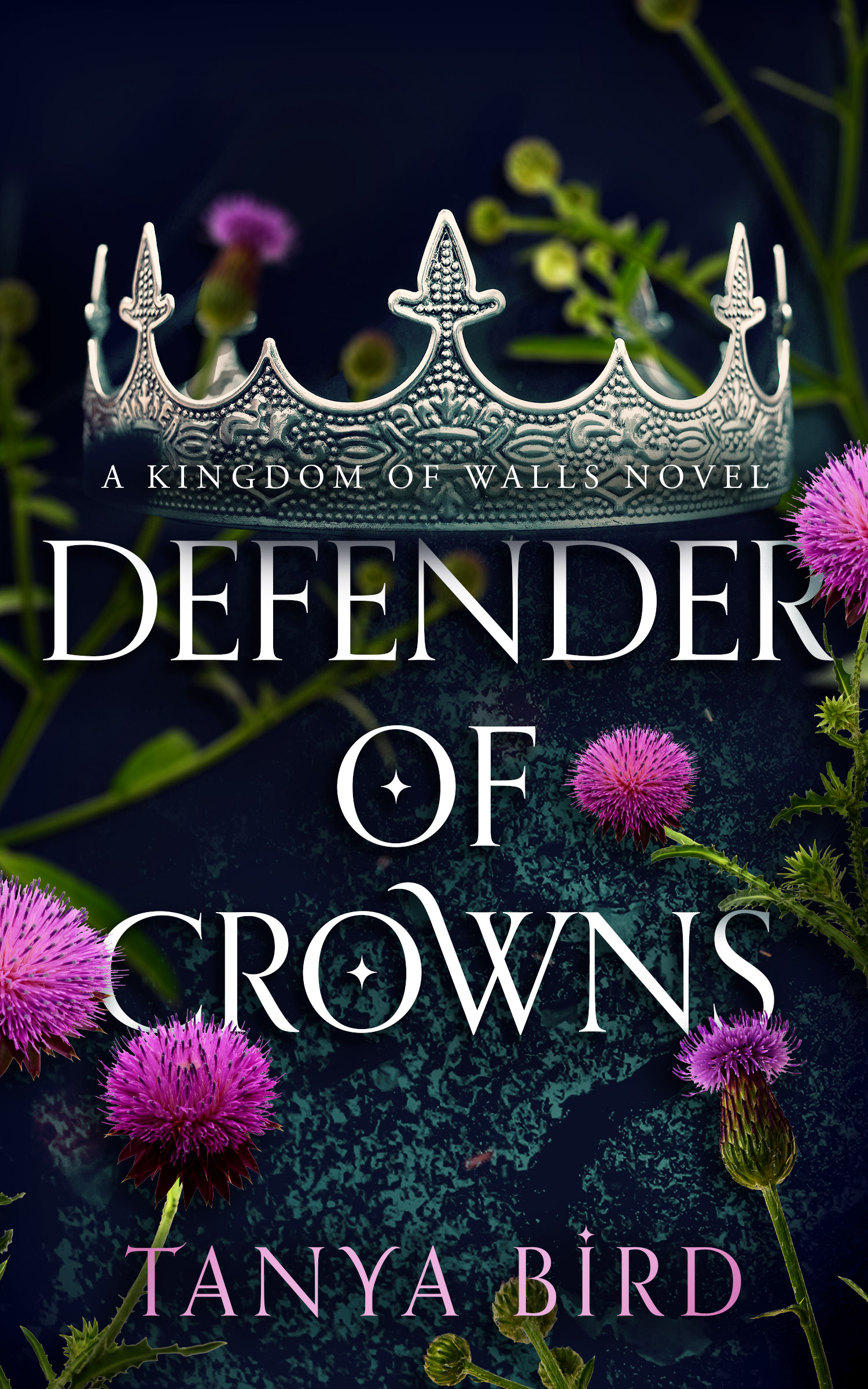 Defender of Crowns (Kingdom of Walls, #3)