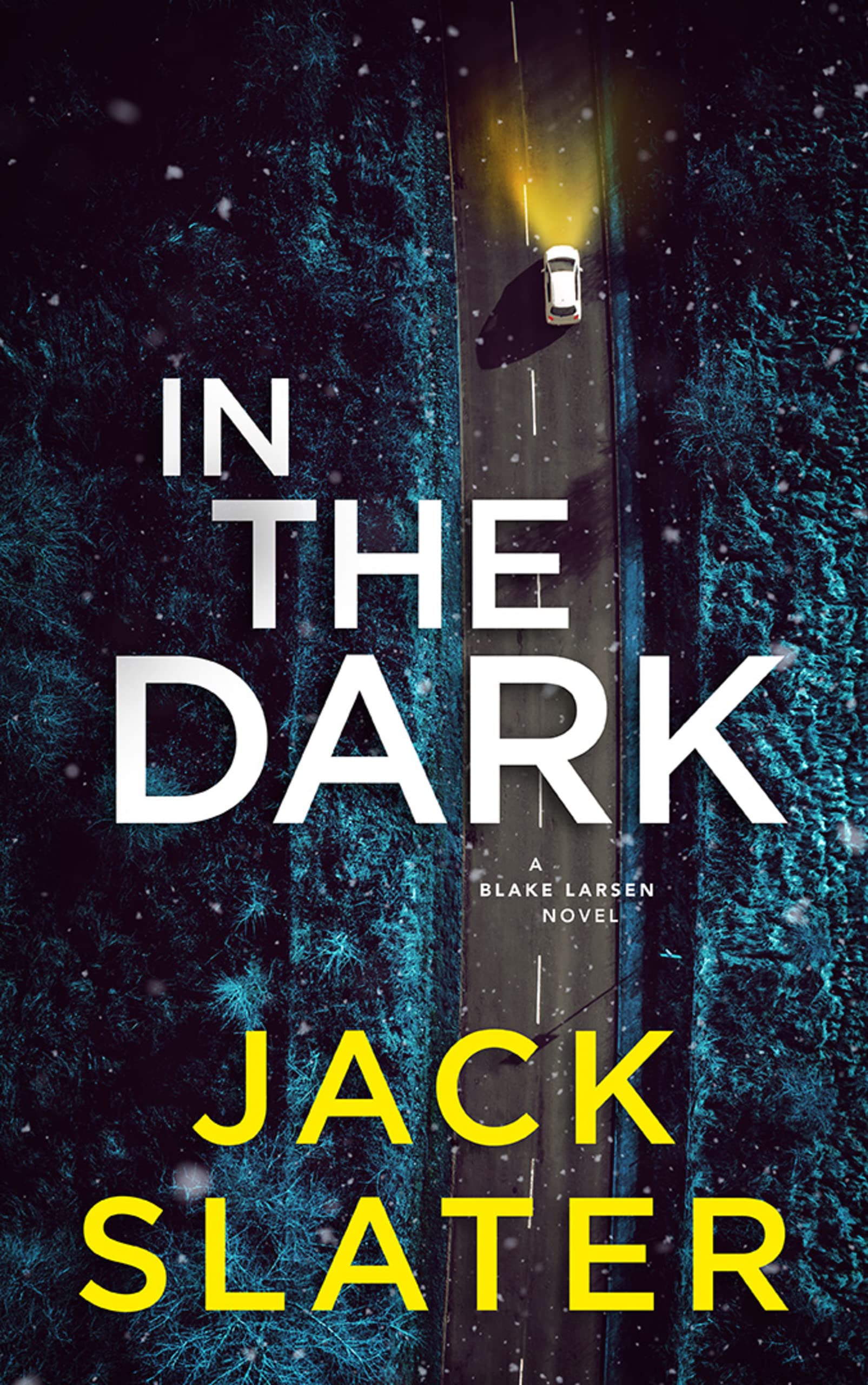 In the Dark (Blake Larsen #1)