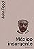 México Insurgente (Ilustrados)