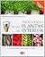Enciclopedia de las plantas de interior by Mireia Rubio Coll