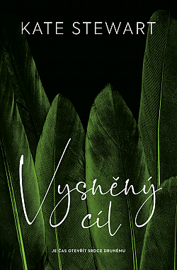 Vysněný cíl (Havraní bratrstvo, #3)