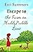 Escape to the Farm on Muddypuddle Lane (The Farm on Muddypuddle Lane, #2) by Etti Summers