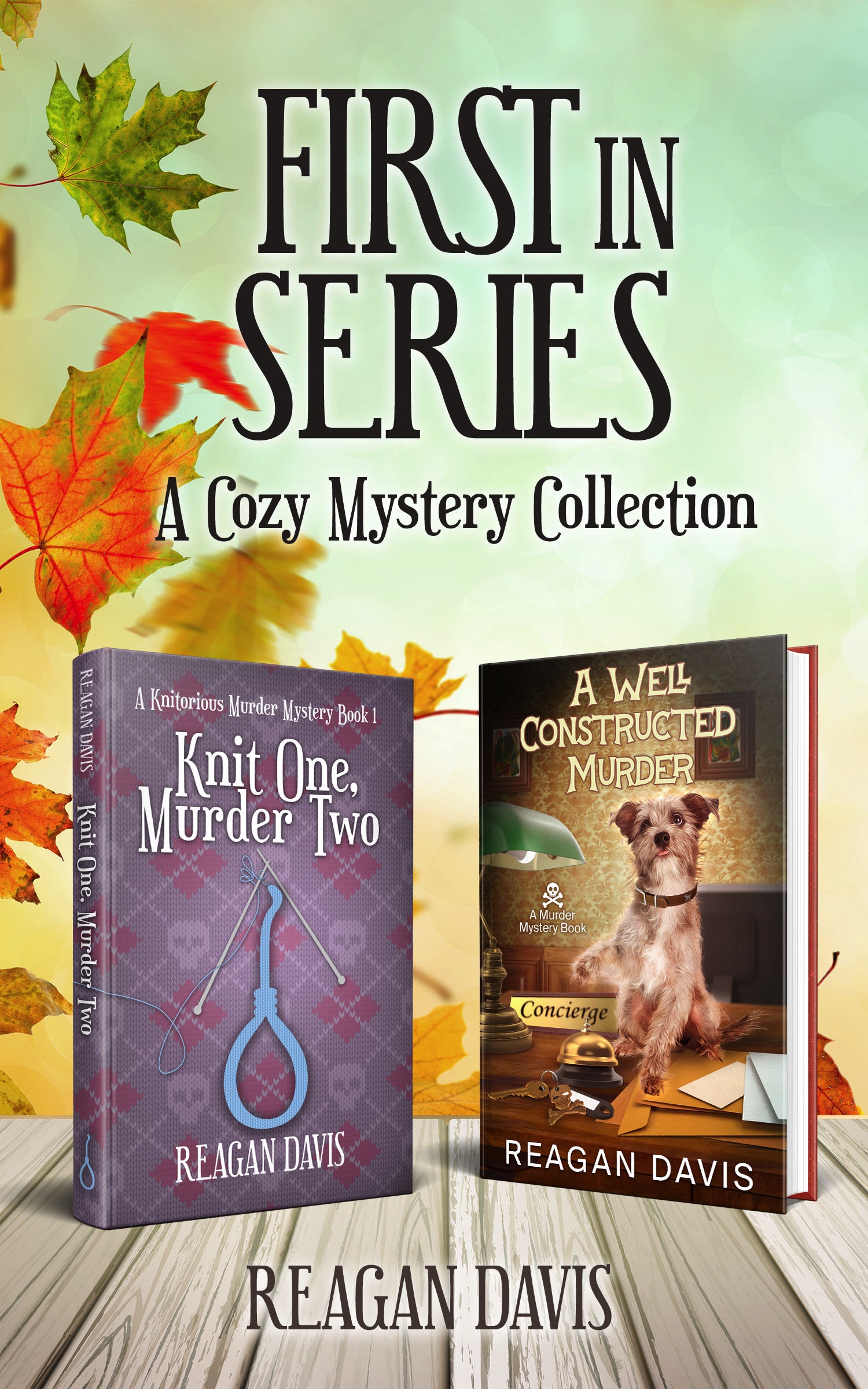 First In Series: A cozy mystery collection