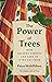 The Power of Trees: How Anc...