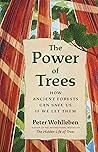 The Power of Tree...