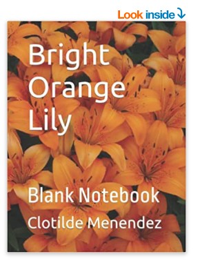 Bright Orange Lily: Blank Notebook