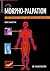 La morphopalpation: Les bas...