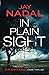 In Plain Sight (DI Scott Baker)