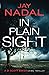 In Plain Sight (DI Scott Baker)