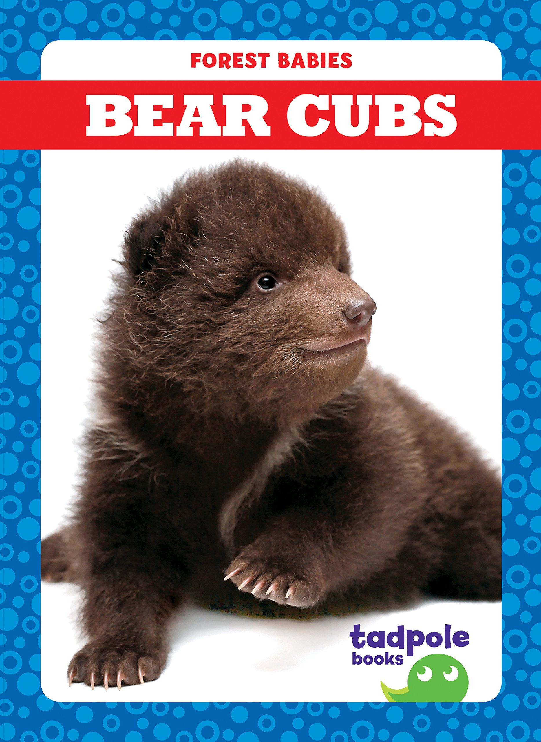 Bear Cubs (Tadpole Books: Forest Babies)