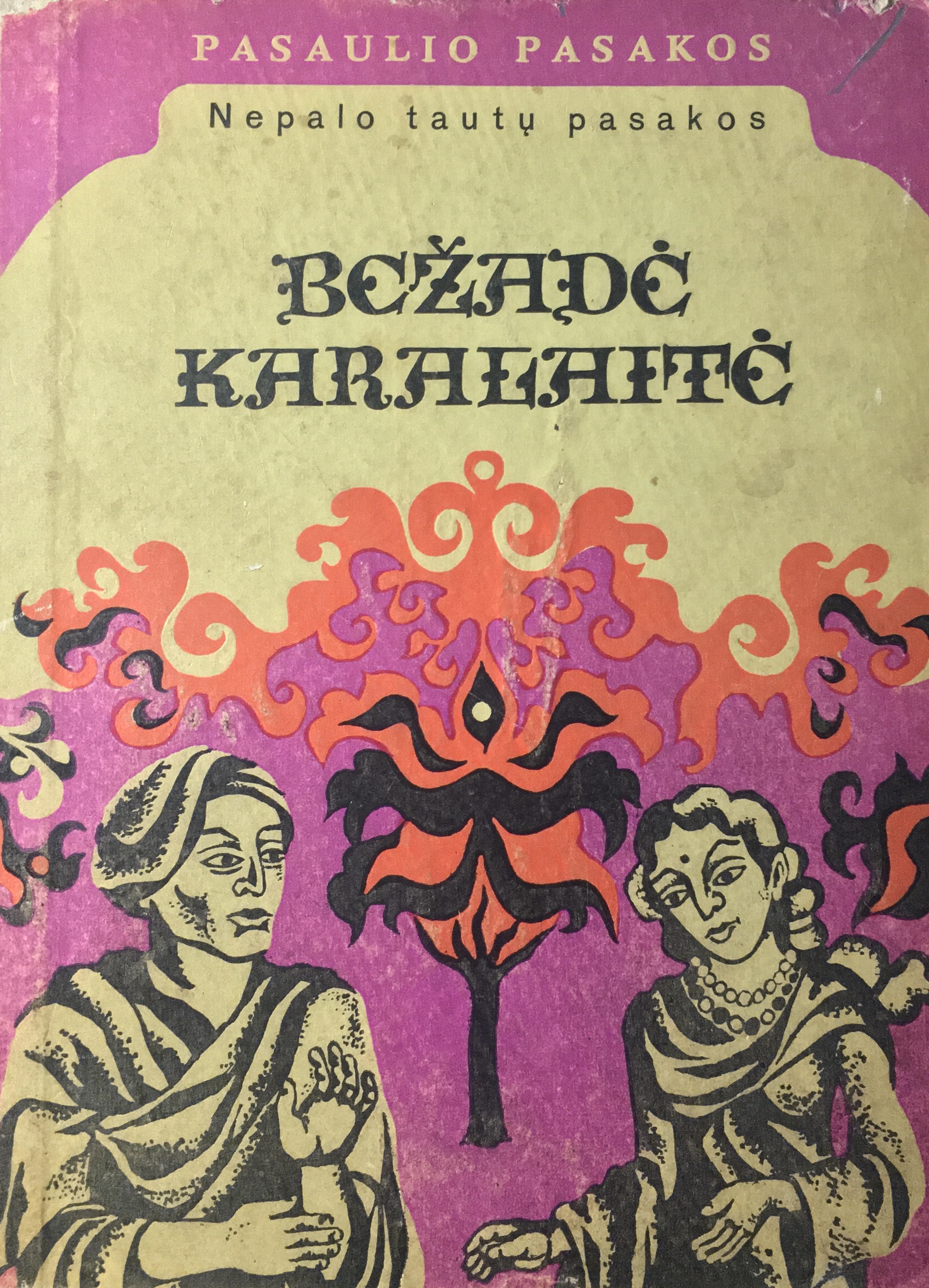 Bežadė karalaitė. Nepalo pasakos (Hardcover)