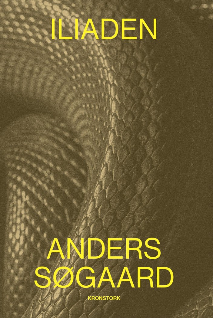 Iliaden (Paperback)