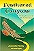 Feathered Canyons: Finding ...
