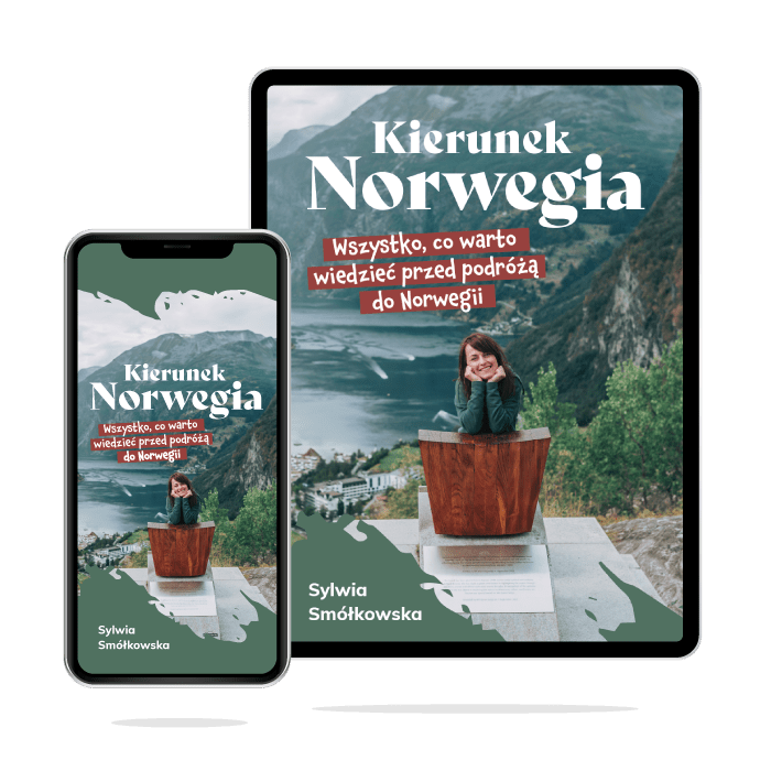 Norweski niezbędnik podróżniczy (ebook)