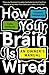How Your Brain Is Wired: An Owner's Manual