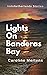 Lights on Banderas Bay by Caroline Mertens