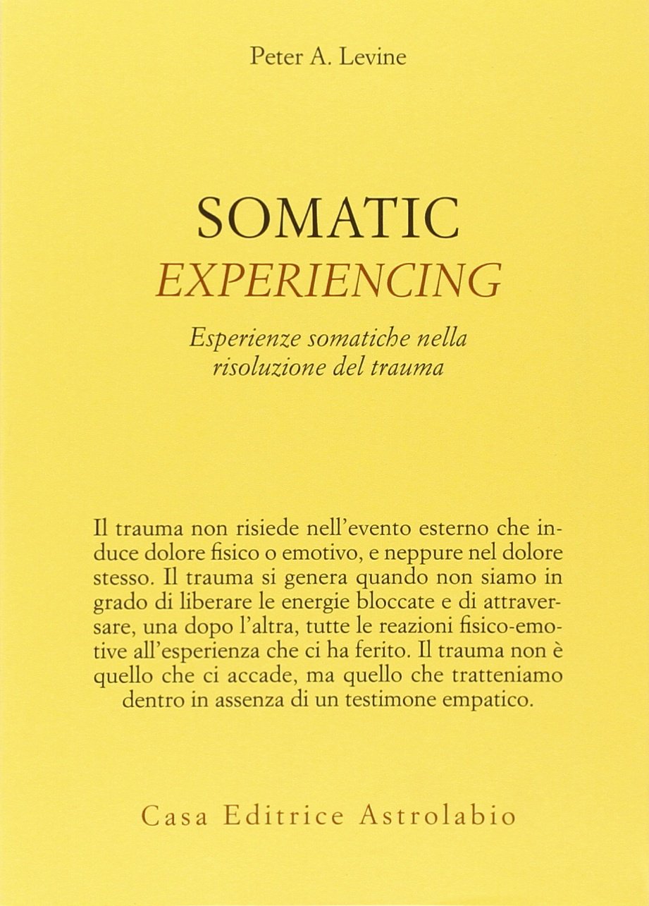 Somatic Experiencing (Paperback)