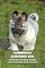 Norwegian Elkhound Dog by LANKFORD MARCUS