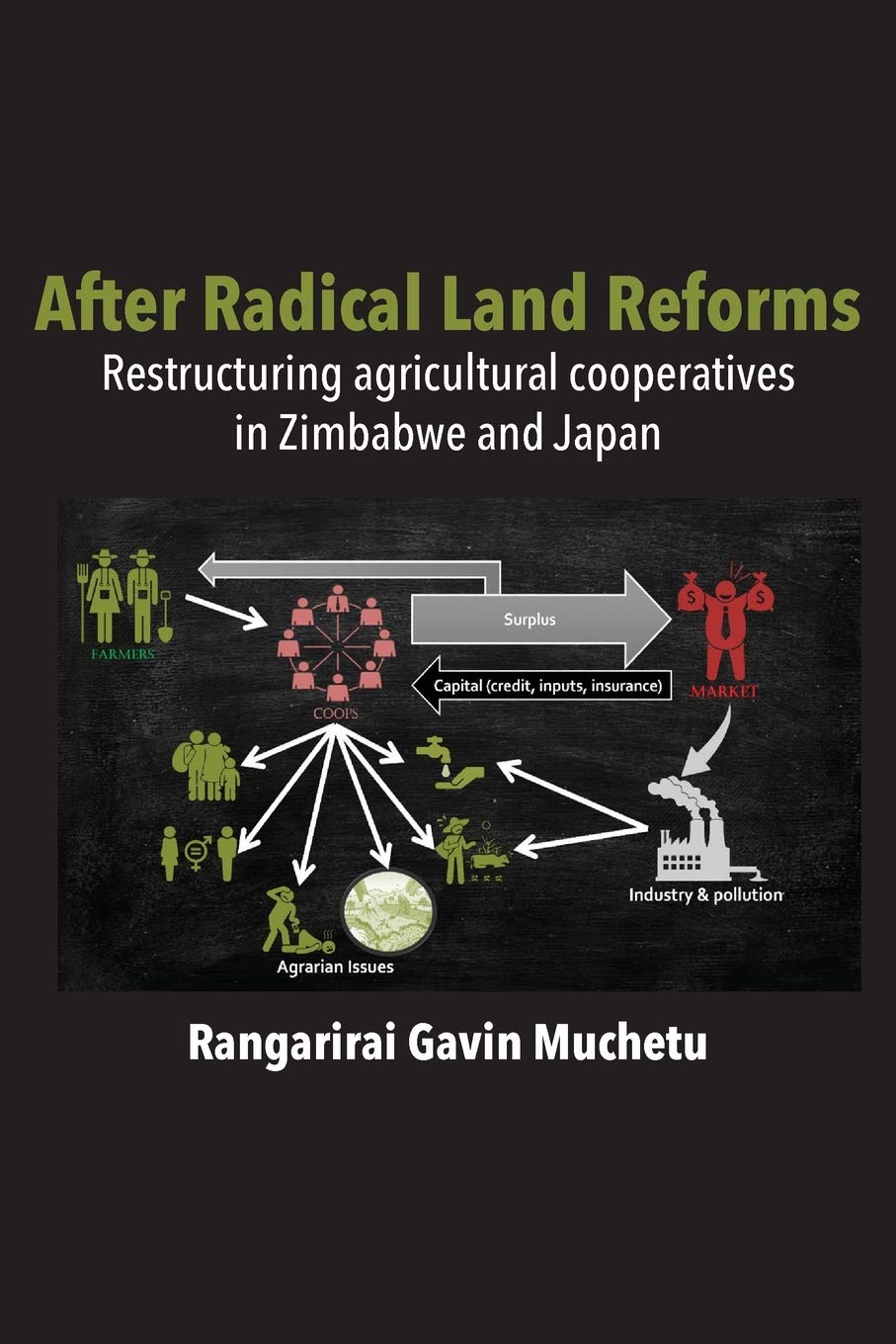After Radical Land Reform: Restructuring Agricultural Cooperatives in Zimbabwe and Japan (Paperback)