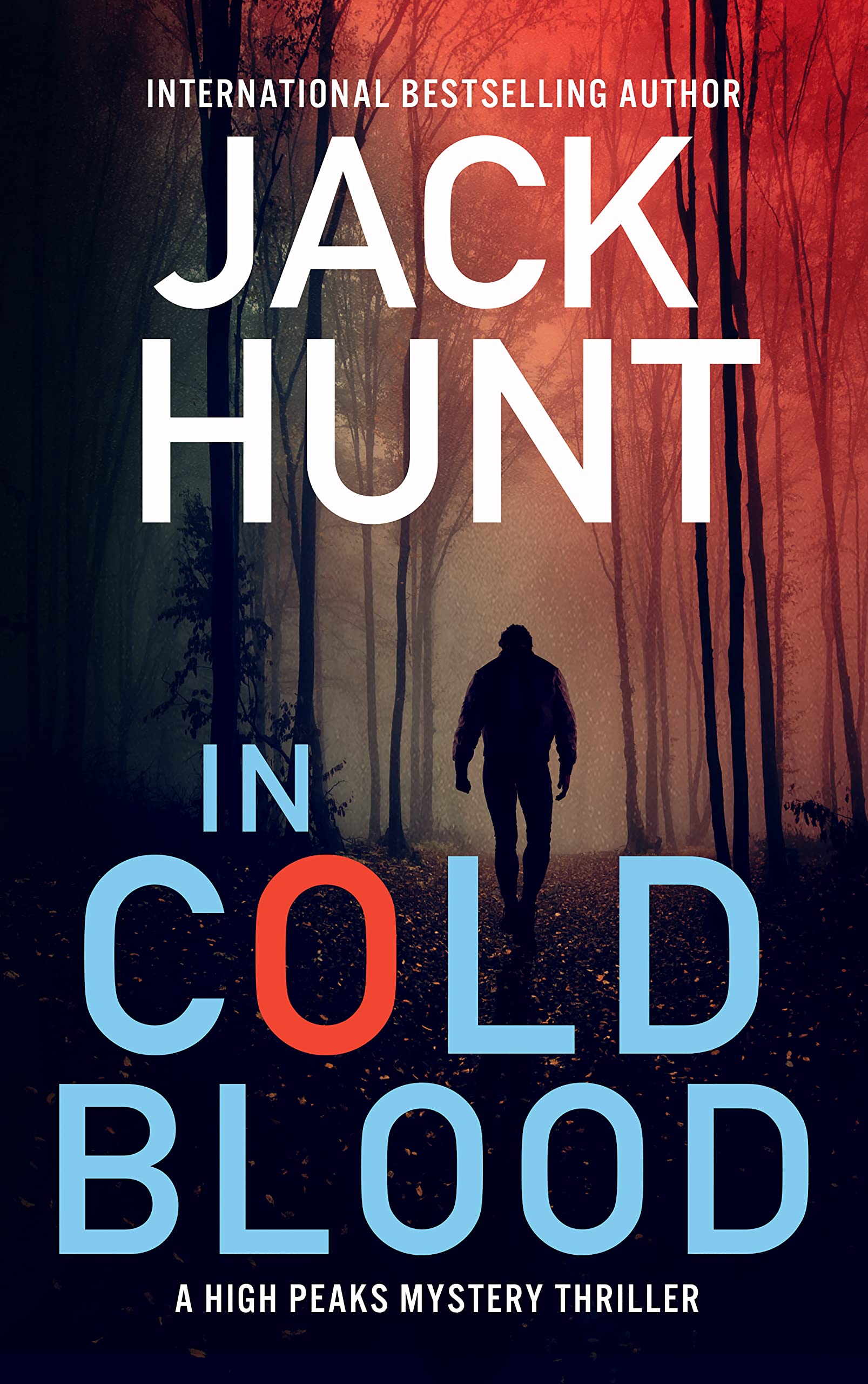 In Cold Blood (High Peaks Mystery Thriller, #1)