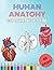 Human Anatomy Coloring Bokk by Diamond Studio