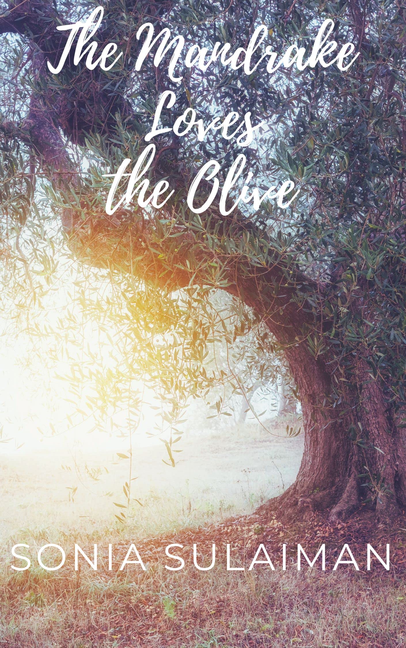 The Mandrake Loves the Olive (Palestinian Folklore Remixed)