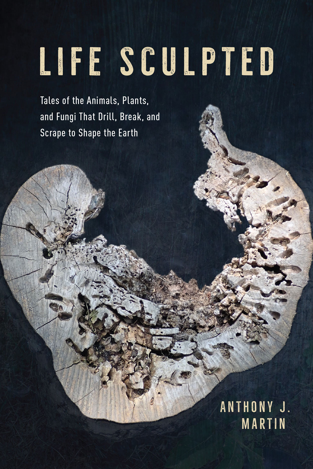 Life Sculpted: Tales of the Animals, Plants, and Fungi That Drill, Break, and Scrape to Shape the Earth (Hardcover)