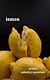 lemon by Isabella J. Mansfield