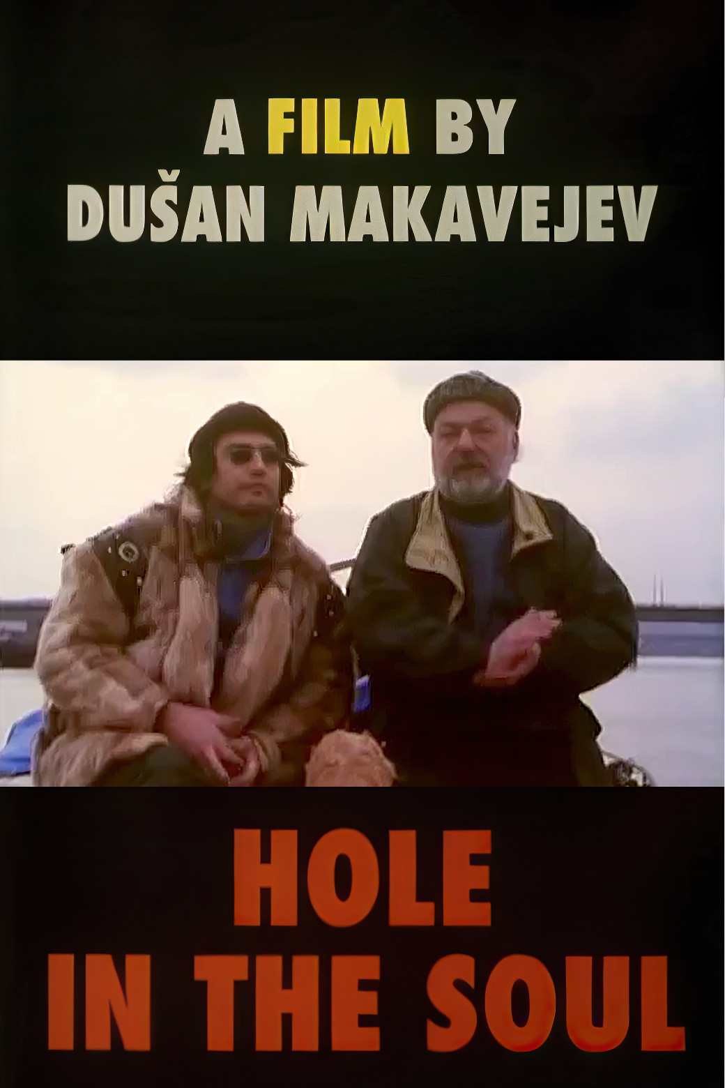 Hole in the Soul (DVD)