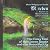Märchen: The Fairy Tale of the Green Snake and the Beautiful Lily – Bilingual (German Edition)