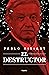 El destructor (Spanish Edition)
