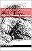 The Secret of Spider Cave: A Pirate Treasure Adventure