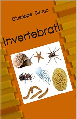 Invertebrati