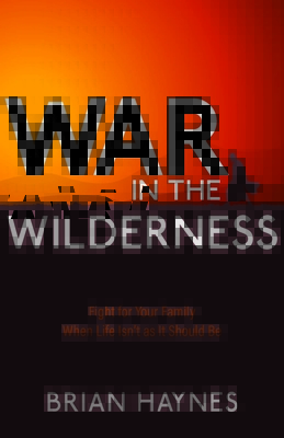 War in the Wilderness: Fight for Your Family When Life Isn't as It Should Be