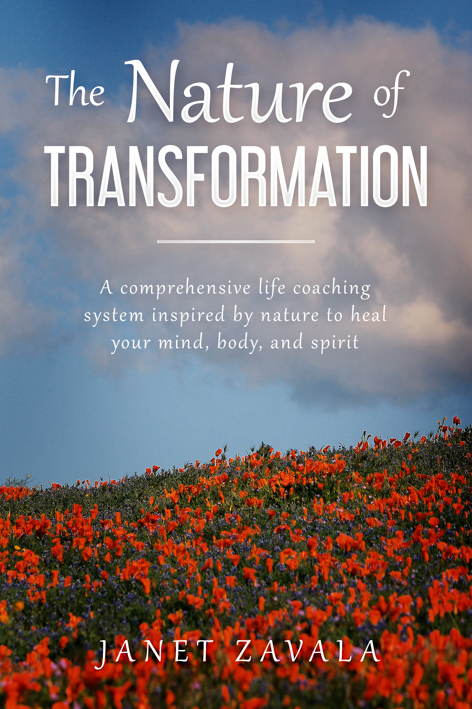 The Nature of Transformation