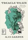 Treacle Walker by Alan Garner