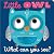Little Owl What Can You See? by Cara Jenkins