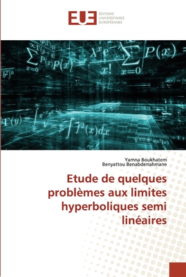 Etude de quelques problèmes aux limites hyperboliques semi linéaires (French Edition)