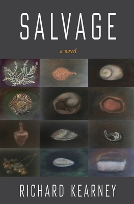 Salvage (Paperback)