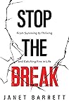 Book cover for Stop The Break: From Surviving to Thriving and Catching Fire in Life