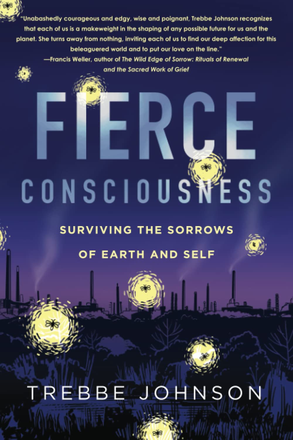 Fierce Consciousness: Surviving the Sorrows of Earth and Self (Paperback)