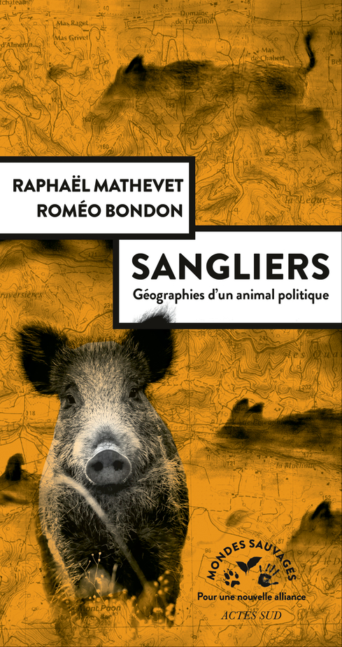 Sangliers, géographies d'un animal politique (Paperback)