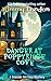 Danger at Poppyridge Cove (Poppyride Cove #4)
