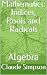 Mathematics: Indices, Roots...
